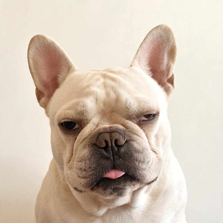 Blep — AI pet portrait template