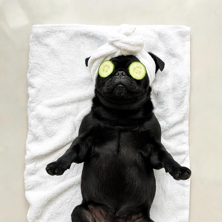 Spa day — AI pet portrait template